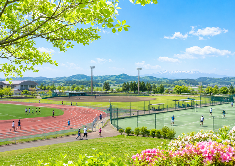 ひまわり